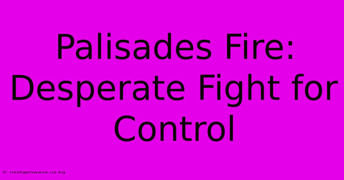 Palisades Fire: Desperate Fight For Control