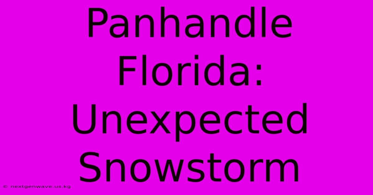 Panhandle Florida: Unexpected Snowstorm