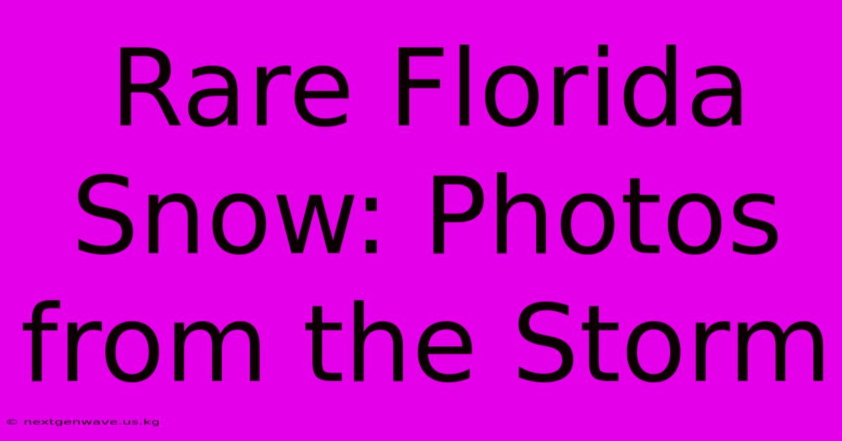 Rare Florida Snow: Photos From The Storm