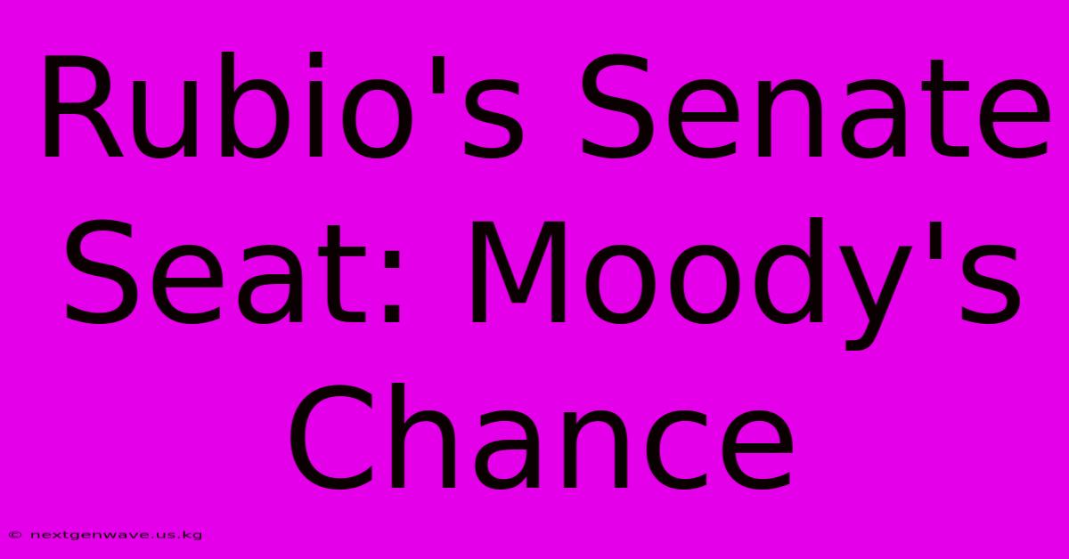 Rubio's Senate Seat: Moody's Chance