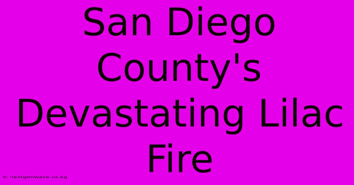 San Diego County's Devastating Lilac Fire