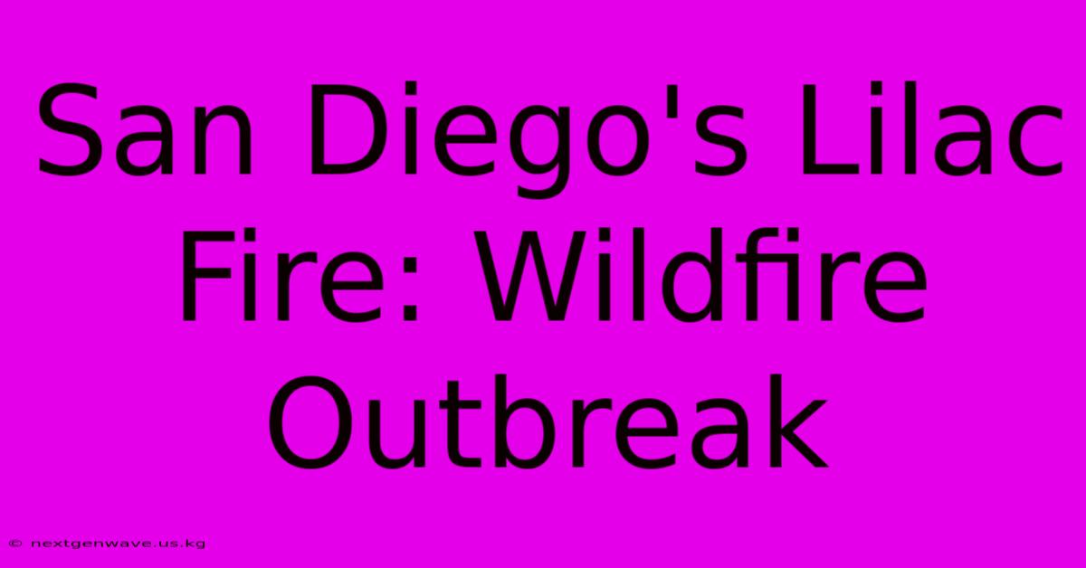 San Diego's Lilac Fire: Wildfire Outbreak