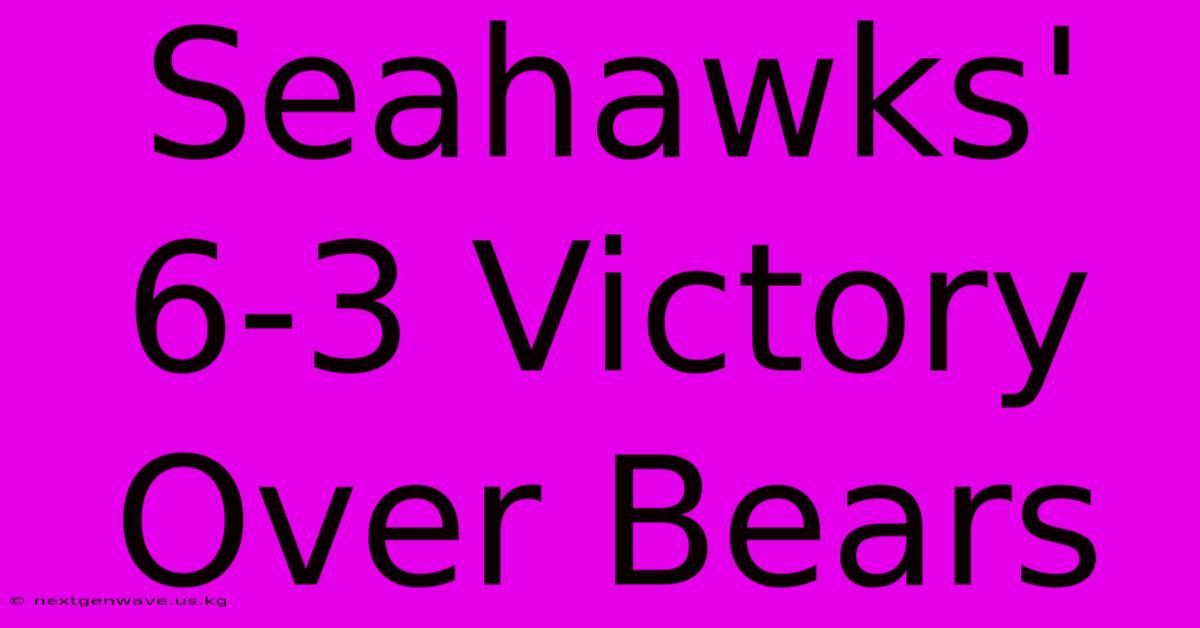 Seahawks' 6-3 Victory Over Bears