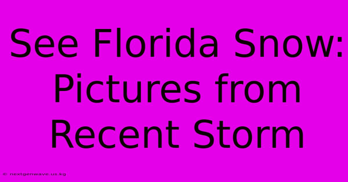 See Florida Snow: Pictures From Recent Storm