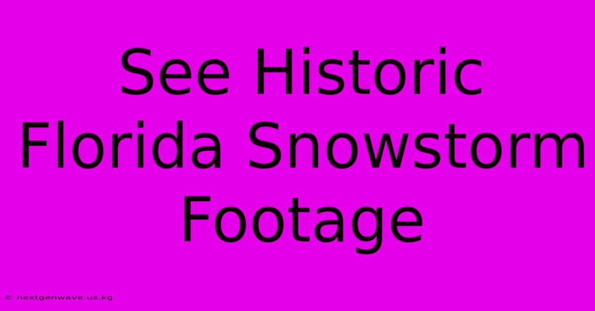 See Historic Florida Snowstorm Footage