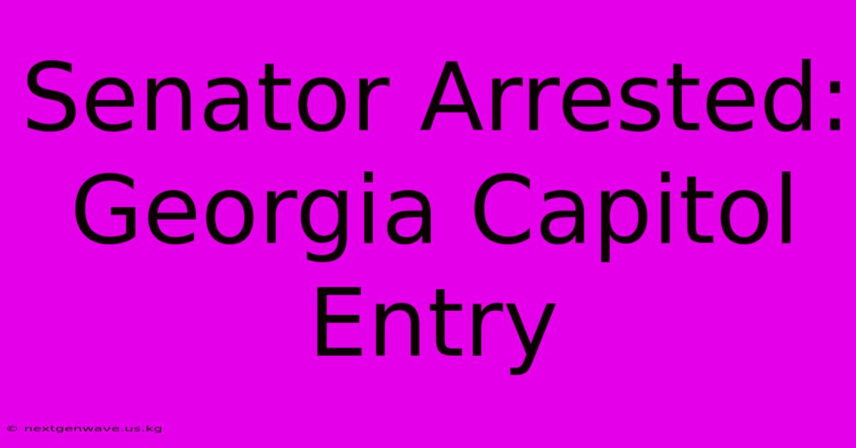 Senator Arrested: Georgia Capitol Entry