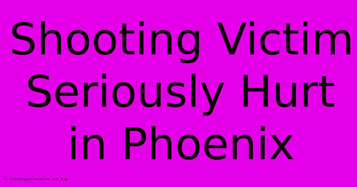 Shooting Victim Seriously Hurt In Phoenix