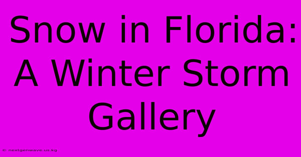 Snow In Florida: A Winter Storm Gallery