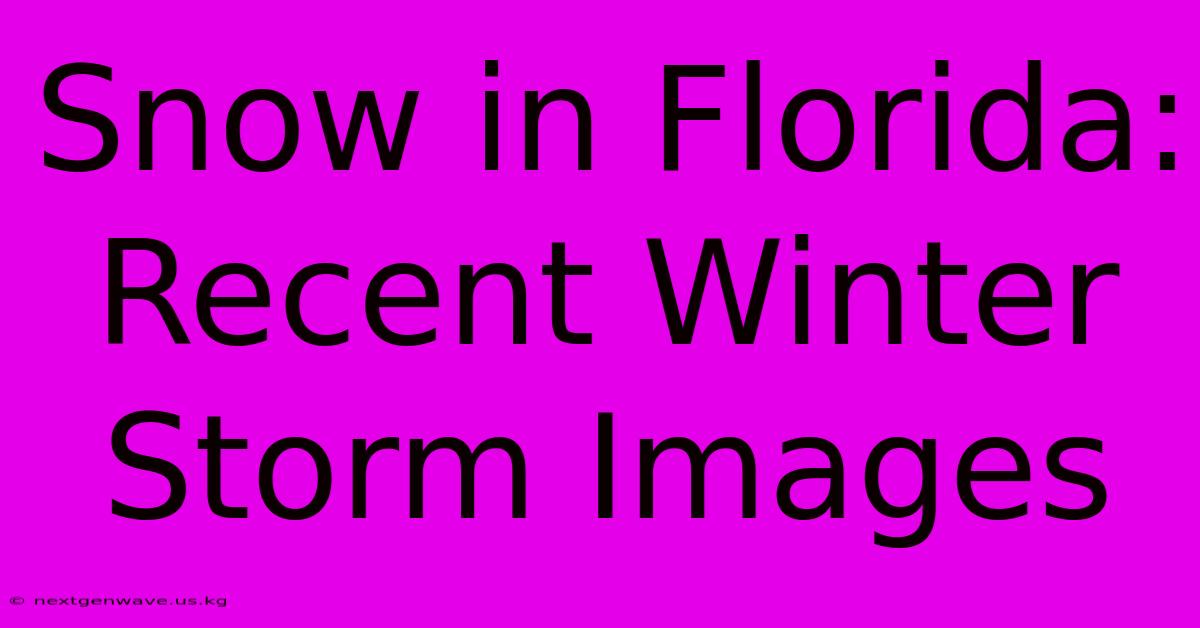 Snow In Florida: Recent Winter Storm Images