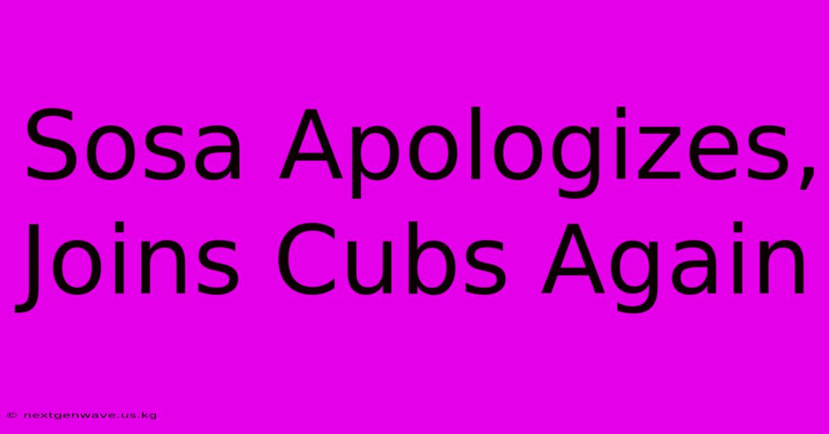 Sosa Apologizes, Joins Cubs Again