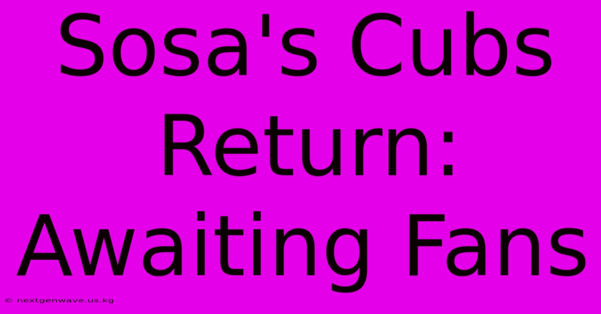 Sosa's Cubs Return: Awaiting Fans