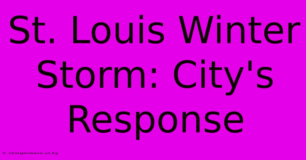 St. Louis Winter Storm: City's Response