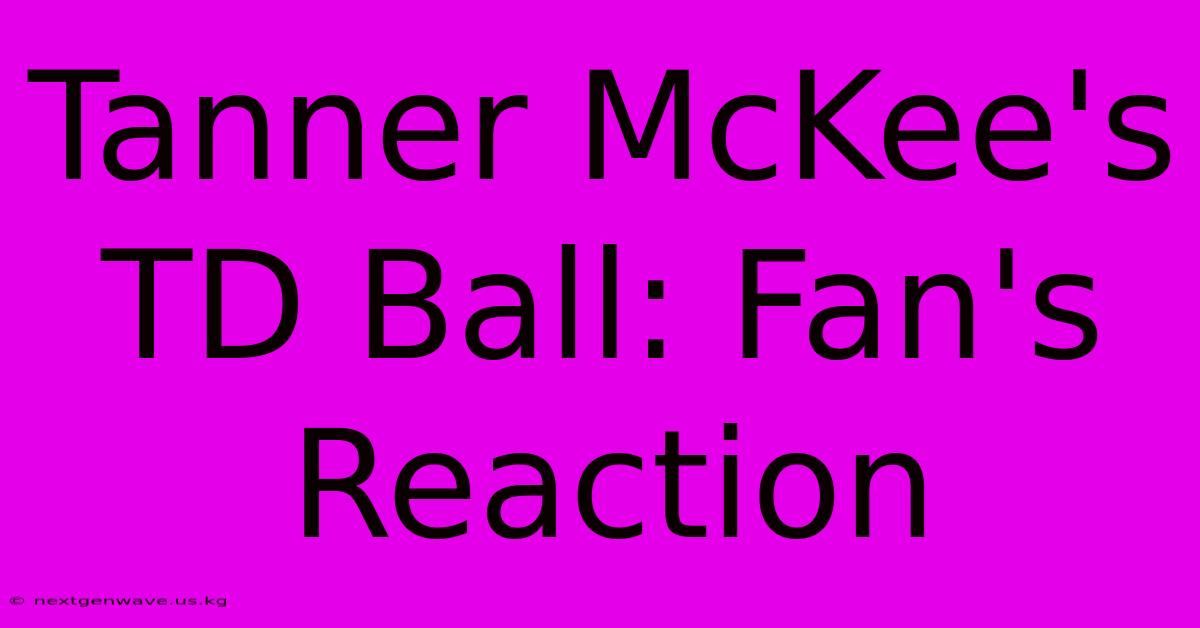 Tanner McKee's TD Ball: Fan's Reaction