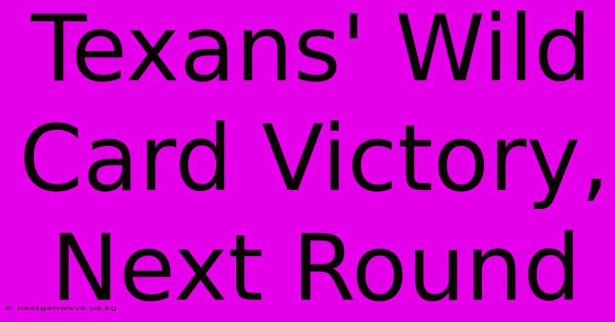 Texans' Wild Card Victory, Next Round