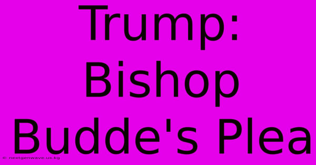 Trump: Bishop Budde's Plea