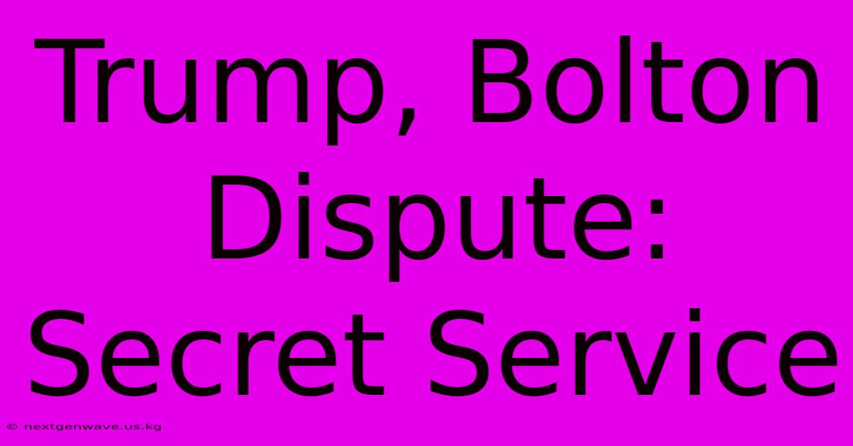 Trump, Bolton Dispute: Secret Service