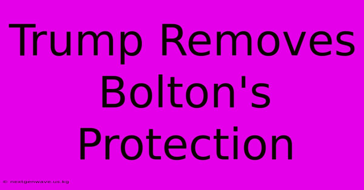 Trump Removes Bolton's Protection