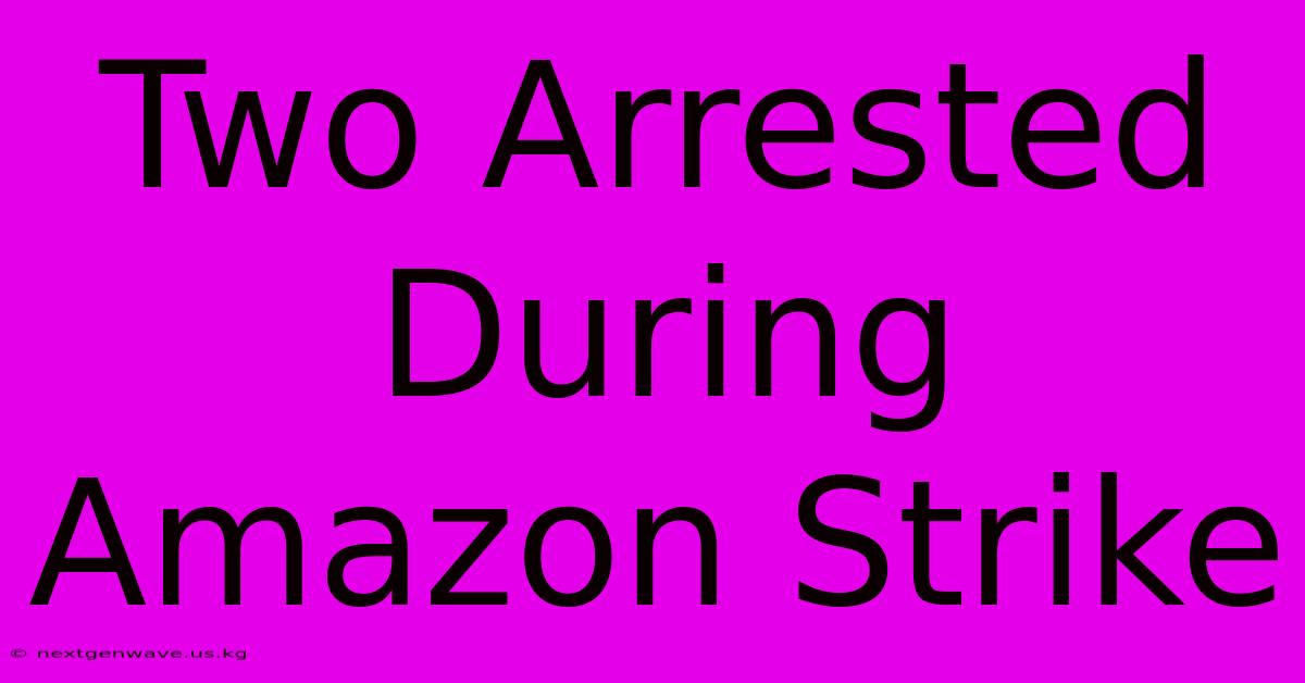 Two Arrested During Amazon Strike