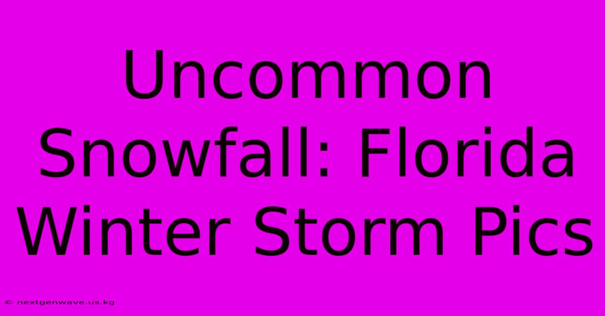 Uncommon Snowfall: Florida Winter Storm Pics