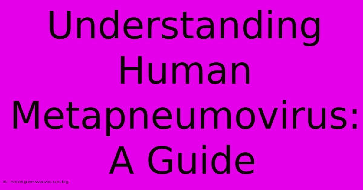 Understanding Human Metapneumovirus: A Guide