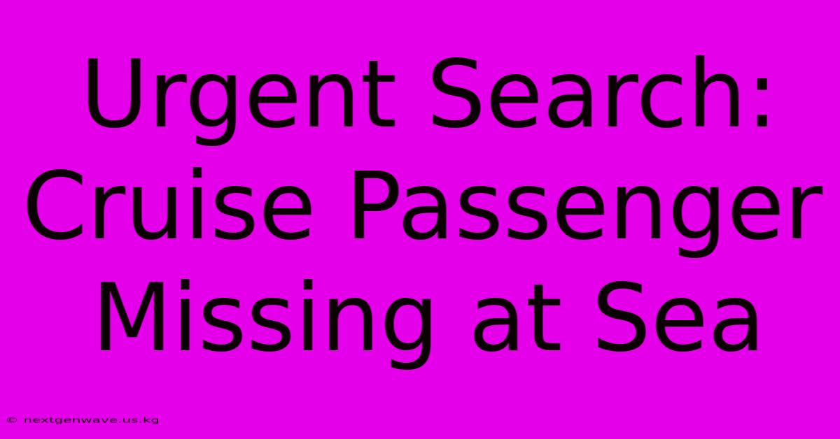 Urgent Search: Cruise Passenger Missing At Sea