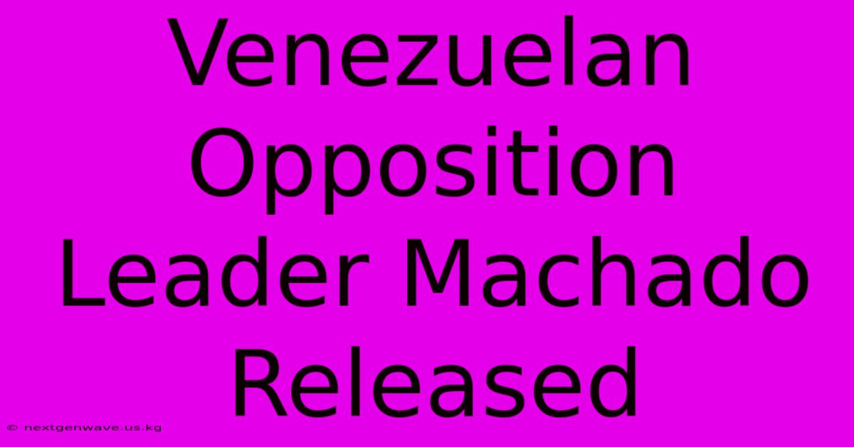 Venezuelan Opposition Leader Machado Released