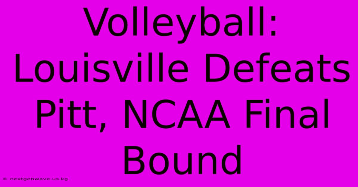 Volleyball: Louisville Defeats Pitt, NCAA Final Bound