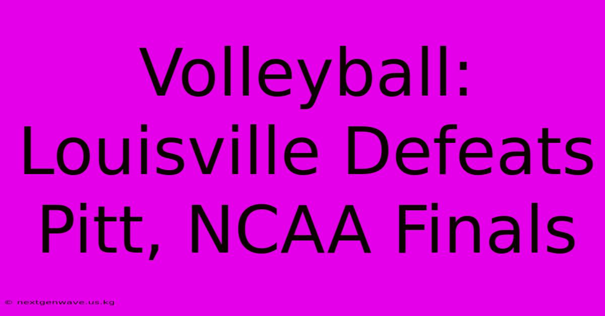 Volleyball: Louisville Defeats Pitt, NCAA Finals