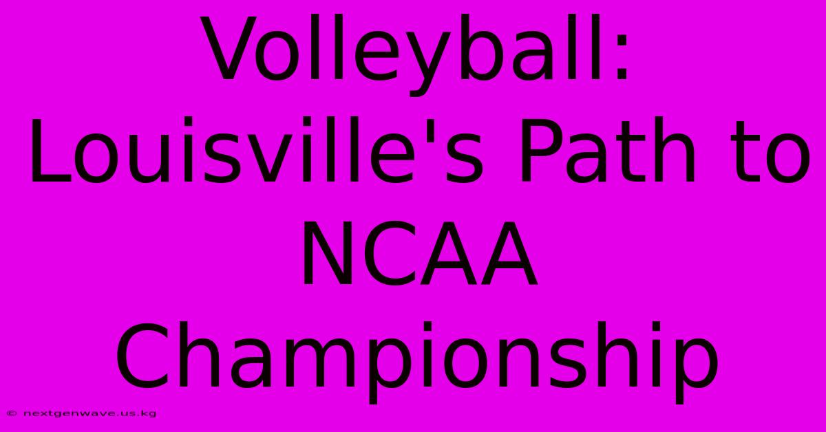 Volleyball: Louisville's Path To NCAA Championship