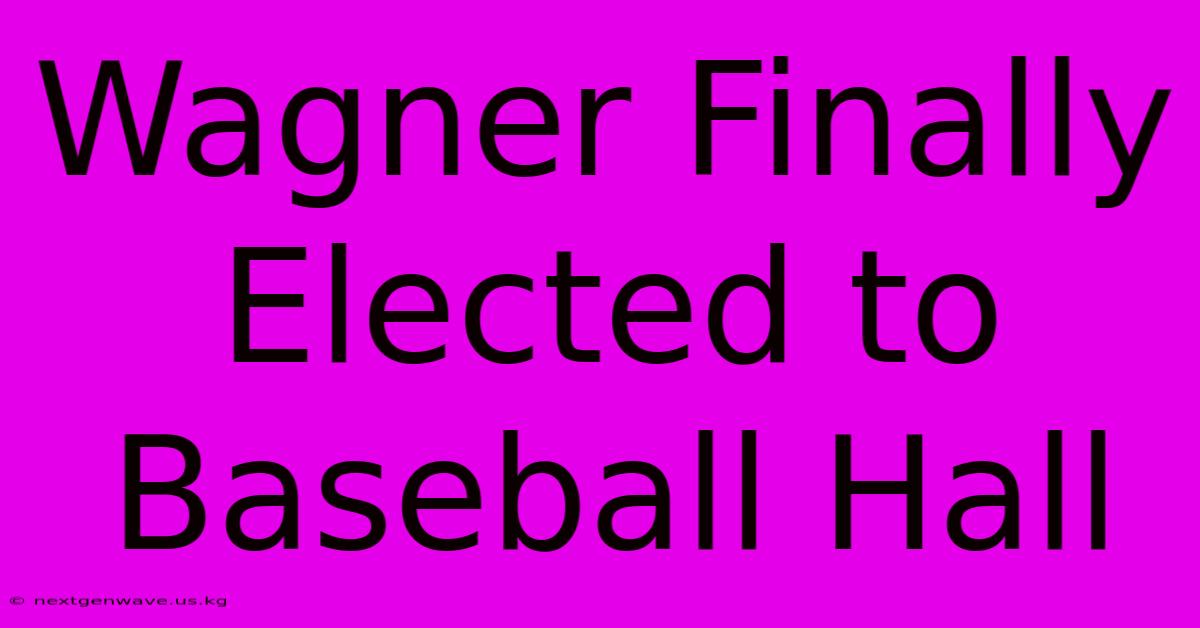 Wagner Finally Elected To Baseball Hall