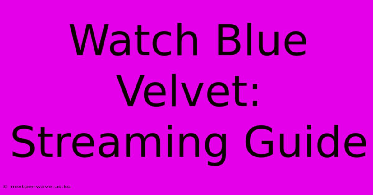 Watch Blue Velvet: Streaming Guide