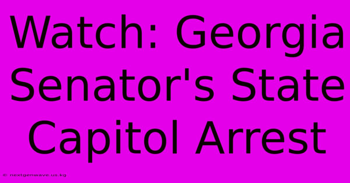 Watch: Georgia Senator's State Capitol Arrest