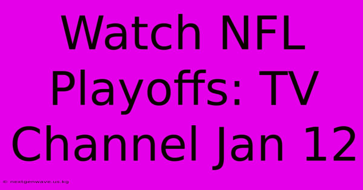 Watch NFL Playoffs: TV Channel Jan 12