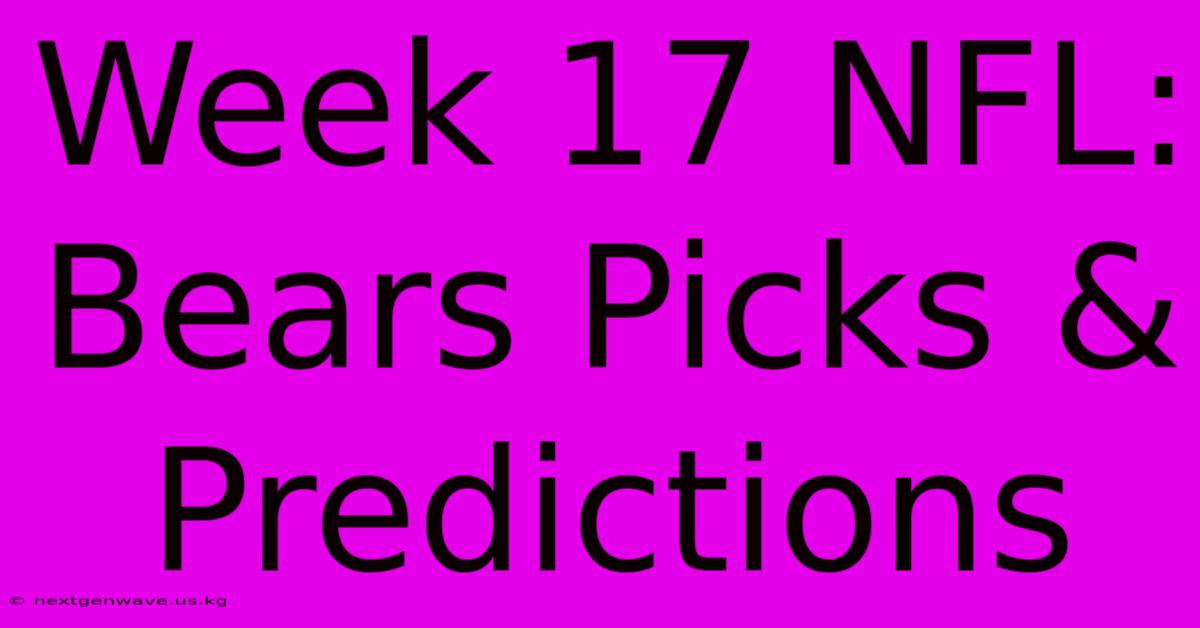 Week 17 NFL: Bears Picks & Predictions