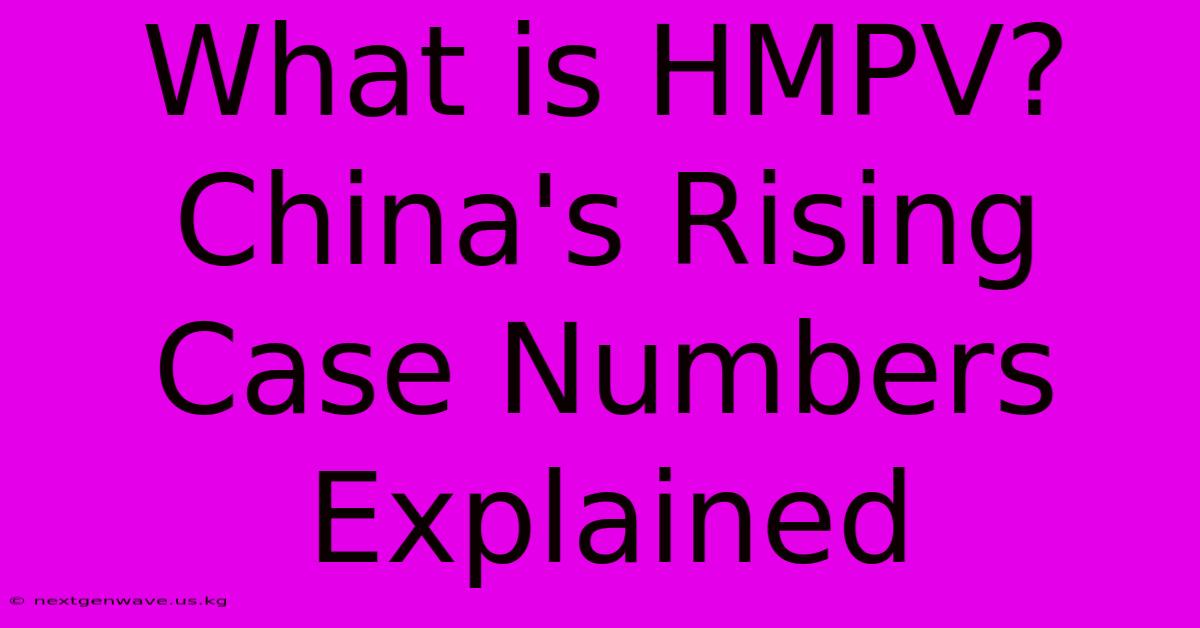 What Is HMPV? China's Rising Case Numbers Explained