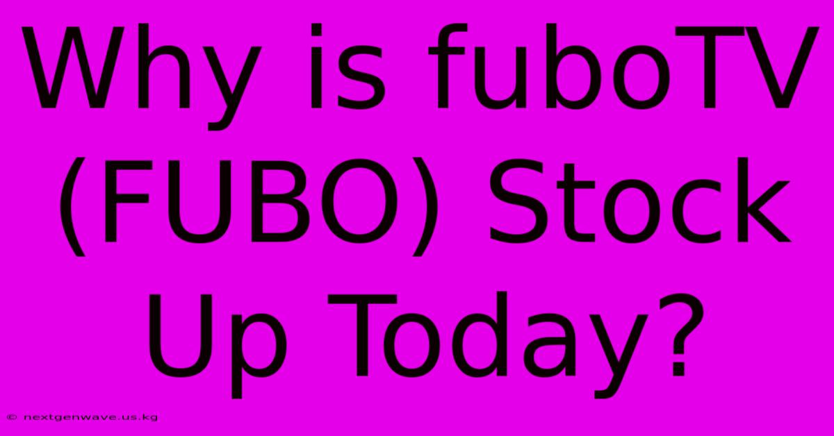 Why Is FuboTV (FUBO) Stock Up Today?