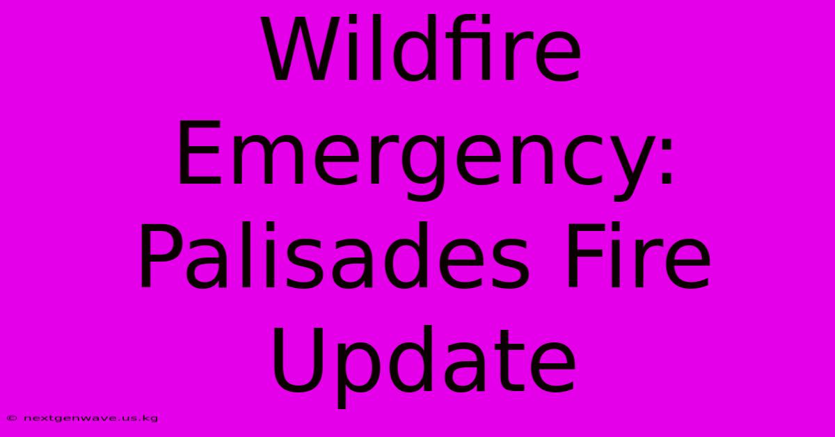 Wildfire Emergency: Palisades Fire Update