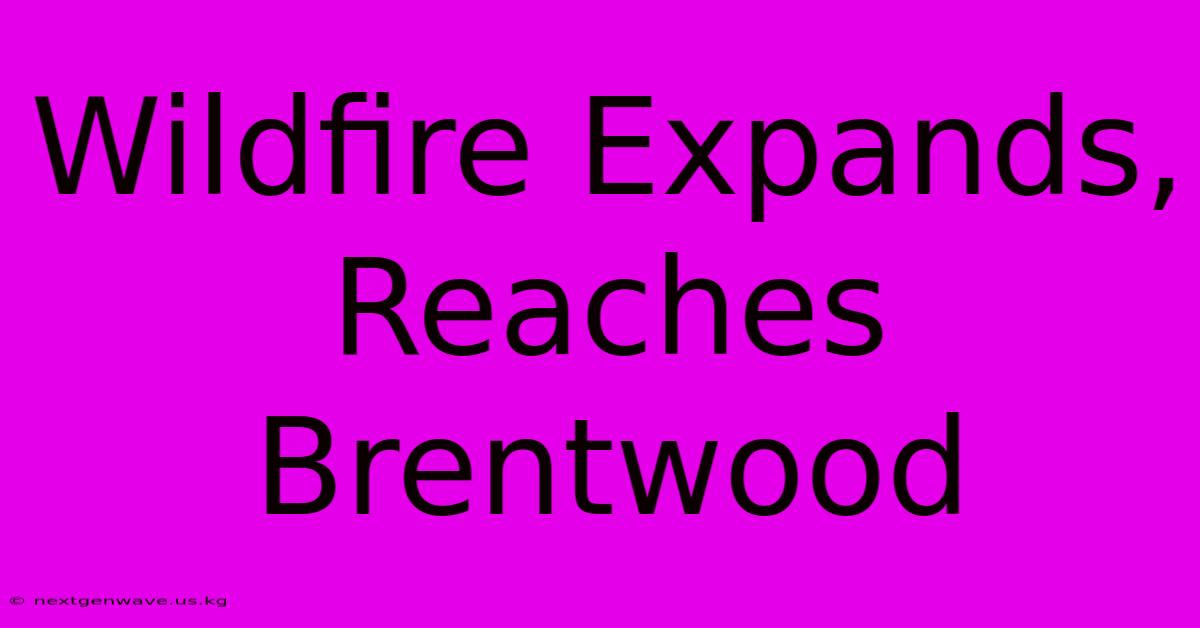 Wildfire Expands, Reaches Brentwood