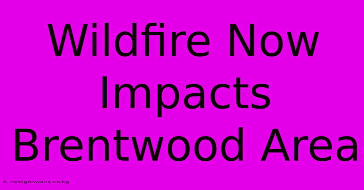 Wildfire Now Impacts Brentwood Area