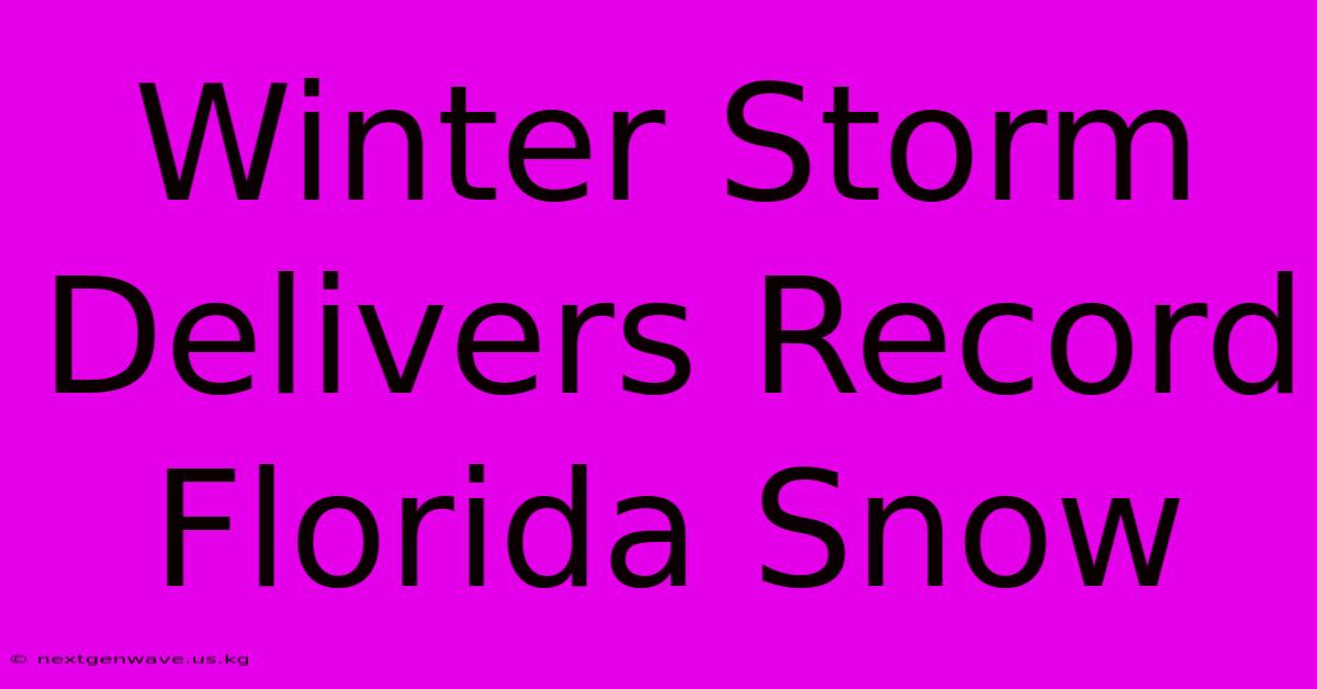 Winter Storm Delivers Record Florida Snow