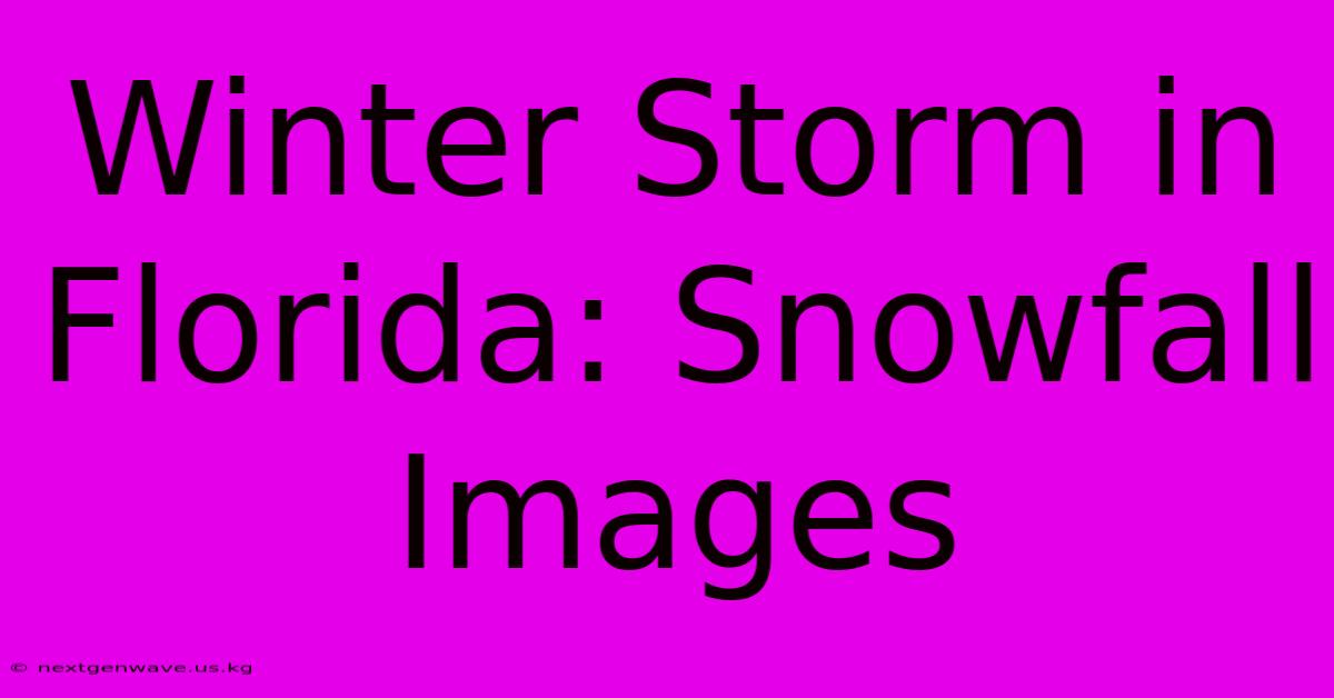 Winter Storm In Florida: Snowfall Images