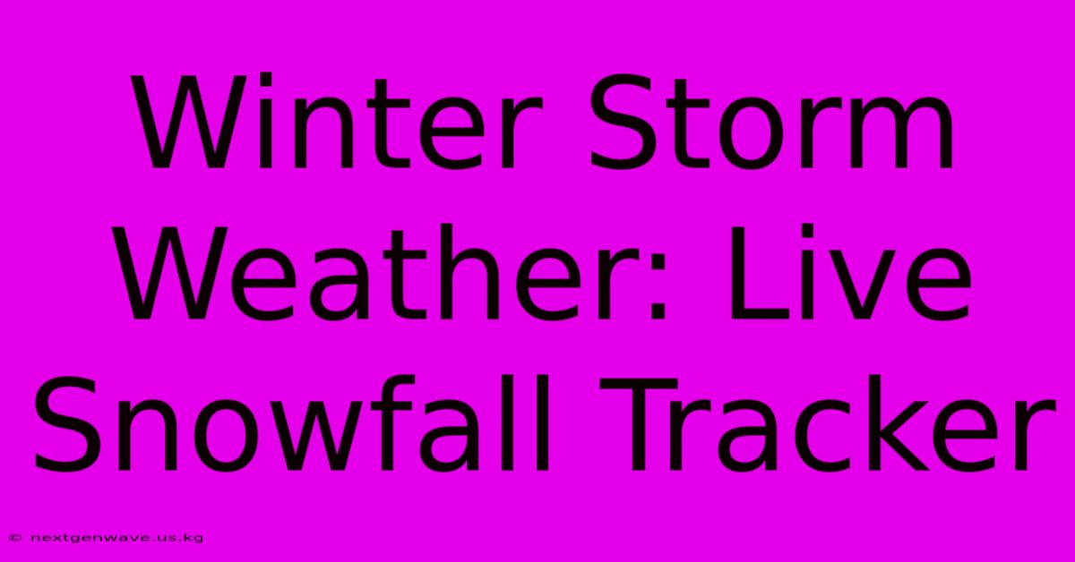 Winter Storm Weather: Live Snowfall Tracker