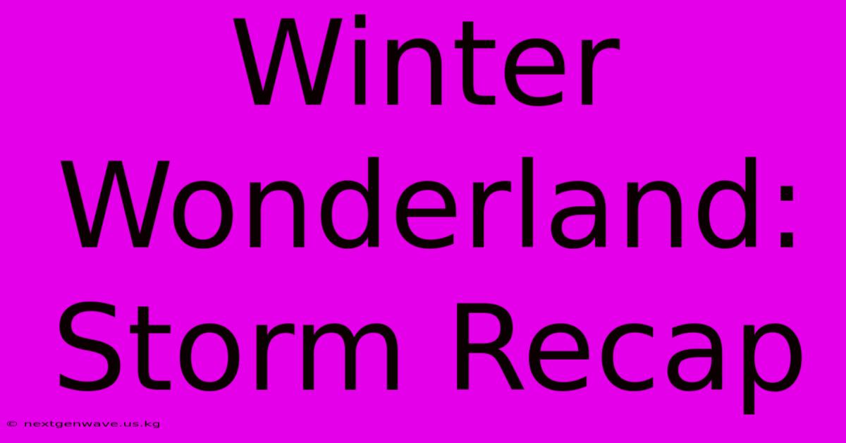 Winter Wonderland: Storm Recap