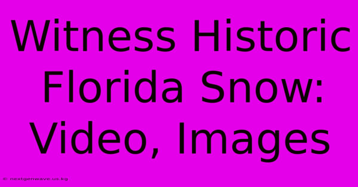 Witness Historic Florida Snow: Video, Images